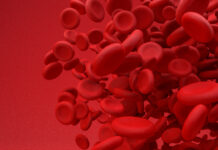 New Dual BTK-MALT1 Fusion Inhibitors Show Promise in Mantle Cell Lymphoma